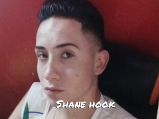 Shane_hook