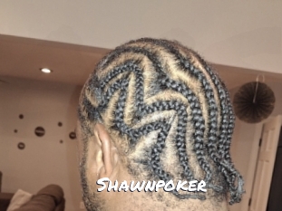 shawnpoker Ochranne Siete