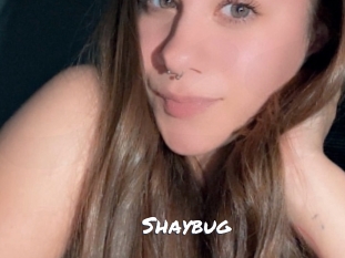 Shaybug