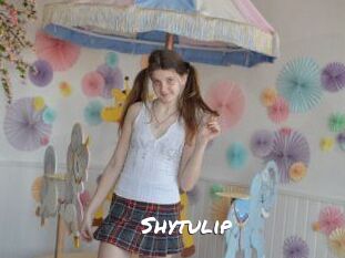 Shytulip