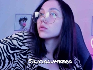 Silicialumberg