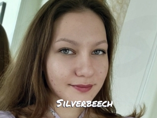 Silverbeech