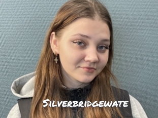Silverbridgewate