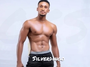 silverdingo Ochranne Siete