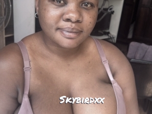 Skybirdxx