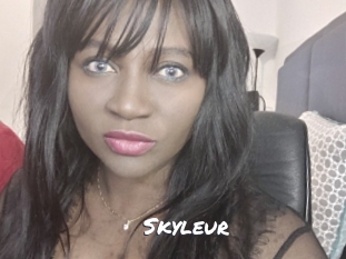 skyleur Ochranne Siete