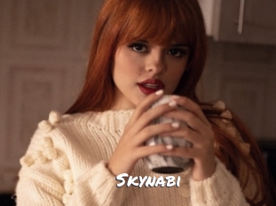 Skynabi