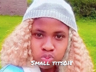 Small_tits018