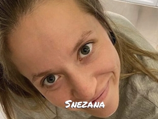 snezana Ochranne Siete