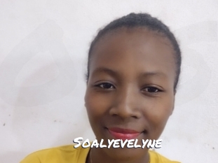 soalyevelyne Ochranne Siete