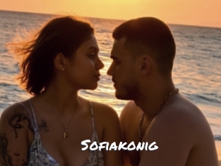sofiakonig Ochranne Siete