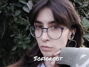 Sofigroot