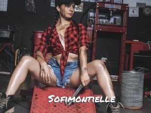 sofimontielle Ochranne Siete