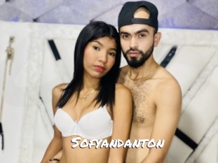 sofyandanton Ochranne Siete