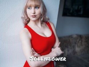 Sollyflower