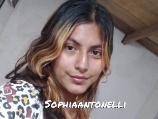 sophiaantonelli Ochranne Siete