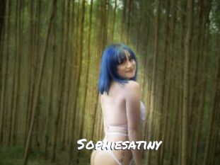Sophiesatiny