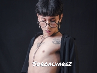 soroalvarez Ochranne Siete