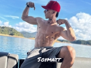 Soymatt