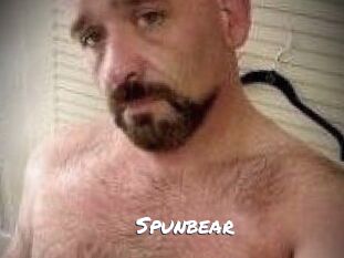 Spunbear
