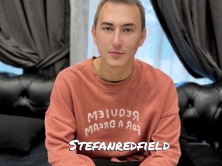 stefanredfield Ochranne Siete