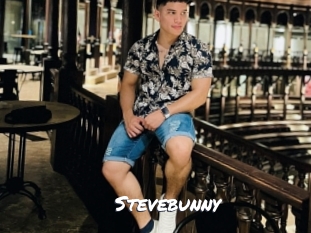 stevebunny Ochranne Siete