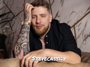 stevecassidy Ochranne Siete