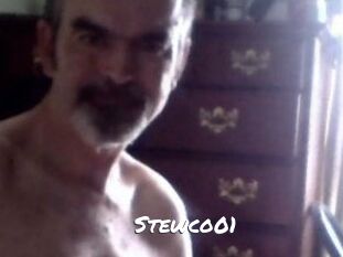 Stewco01