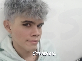 stivengil Ochranne Siete