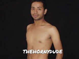 THEHORNYDUDE