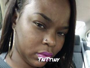 T_N_Ttiny