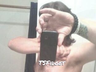 TSFidget