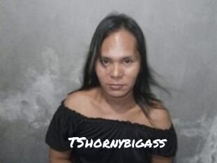 TShornybigass