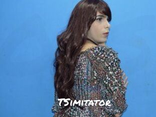 TSimitator