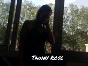 Tawny_Rose