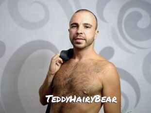 TeddyHairyBear