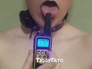 TeddyTato