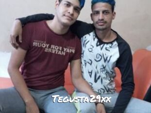 Tegusta29xx