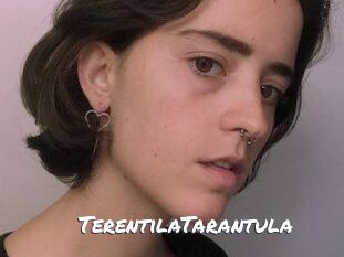 TerentilaTarantula