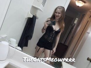 TheCatsMeowprrr