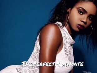ThePerfectPlaymate
