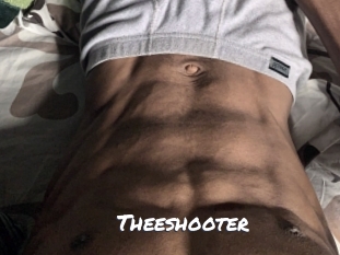Theeshooter Ochranne Siete