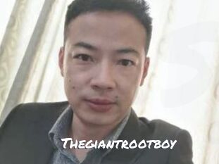 Thegiantrootboy