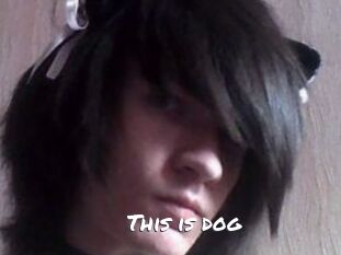 This_is_dog