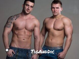 TigAndDic