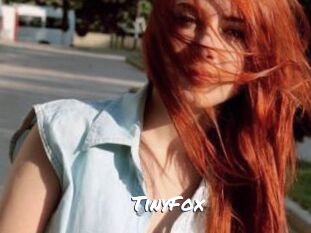 TinyFox
