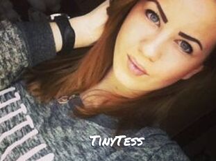 TinyTess