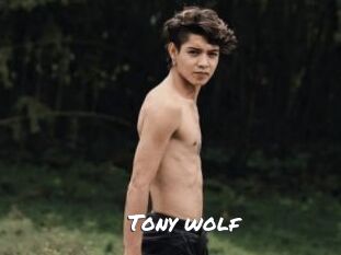 Tony_wolf