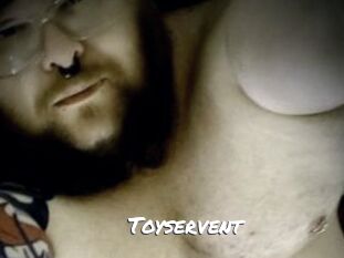 Toyservent