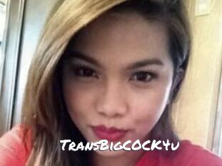 TransBigCOCK4u